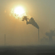Image for article titled Nation Unsure Which Candidate's Plan To Destroy The Environment Will Create More Jobs